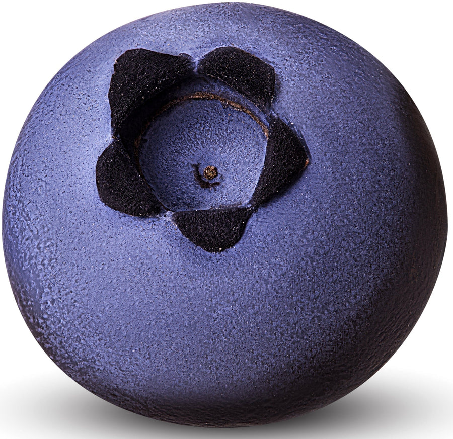 Closeup image of single Blueberry on white background.