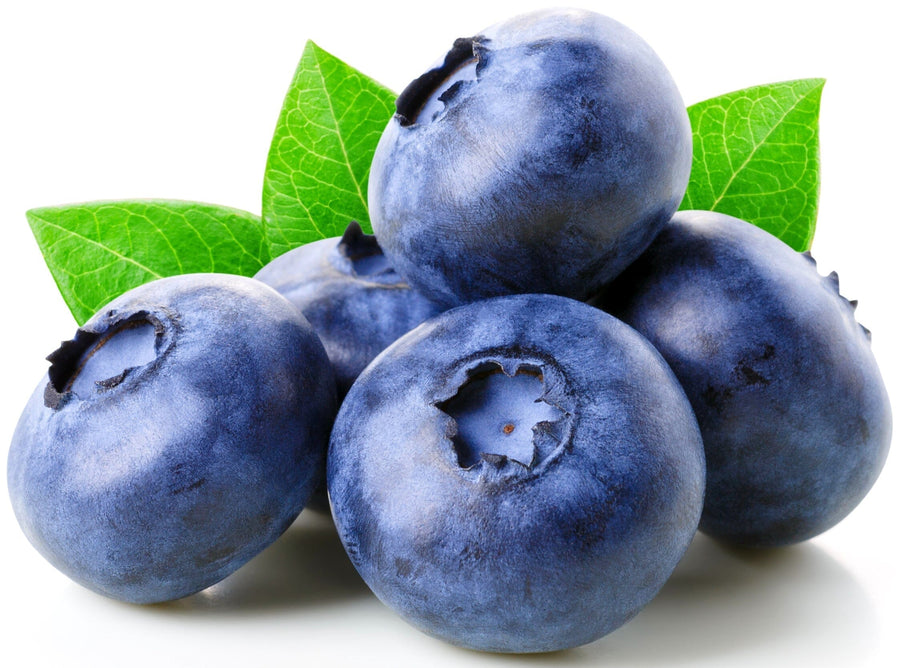 Image of Blueberries on white background.