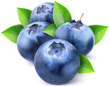 Image of Blueberries with stems and leaves on white background.