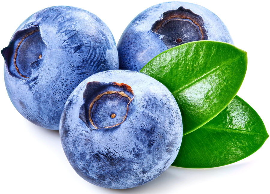 Image of three Blueberries with two leaves on white background.