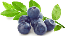 Image of Blueberries with stem on white background