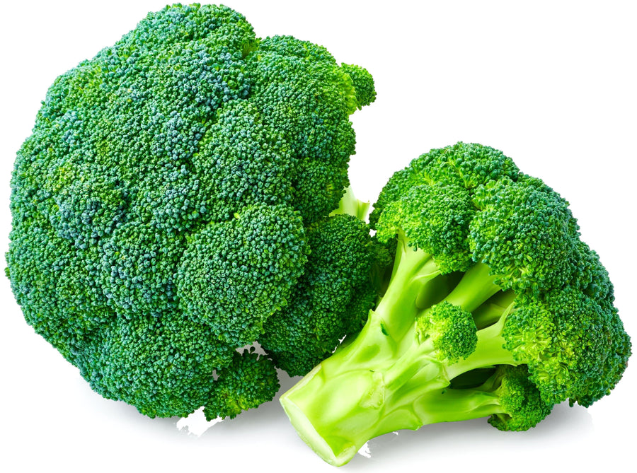 2 pieces of Broccoli on white background