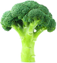 A pieces of Broccoli on white background