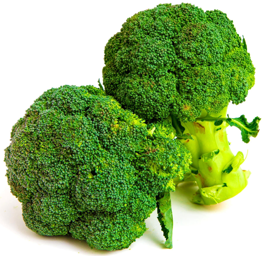 2 pieces of Broccoli on white background