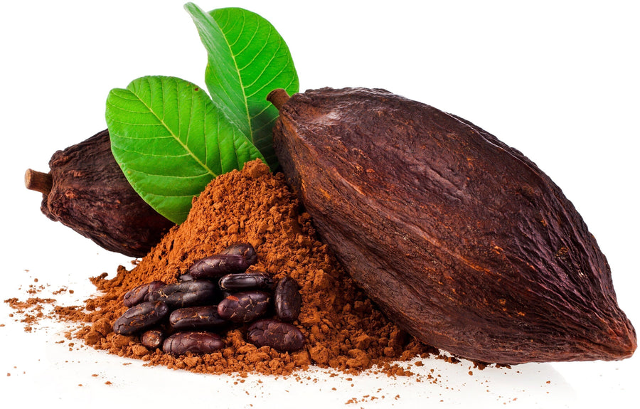 Cacao Powder with beans and green leaf's on white background
