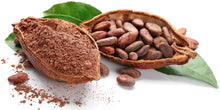 Cacao Powder with beans and green leaf's on white background