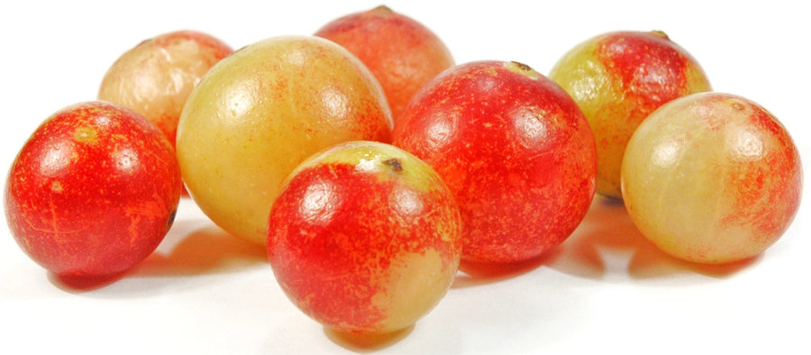 Image of whole red and yellow Camu Camu fruits