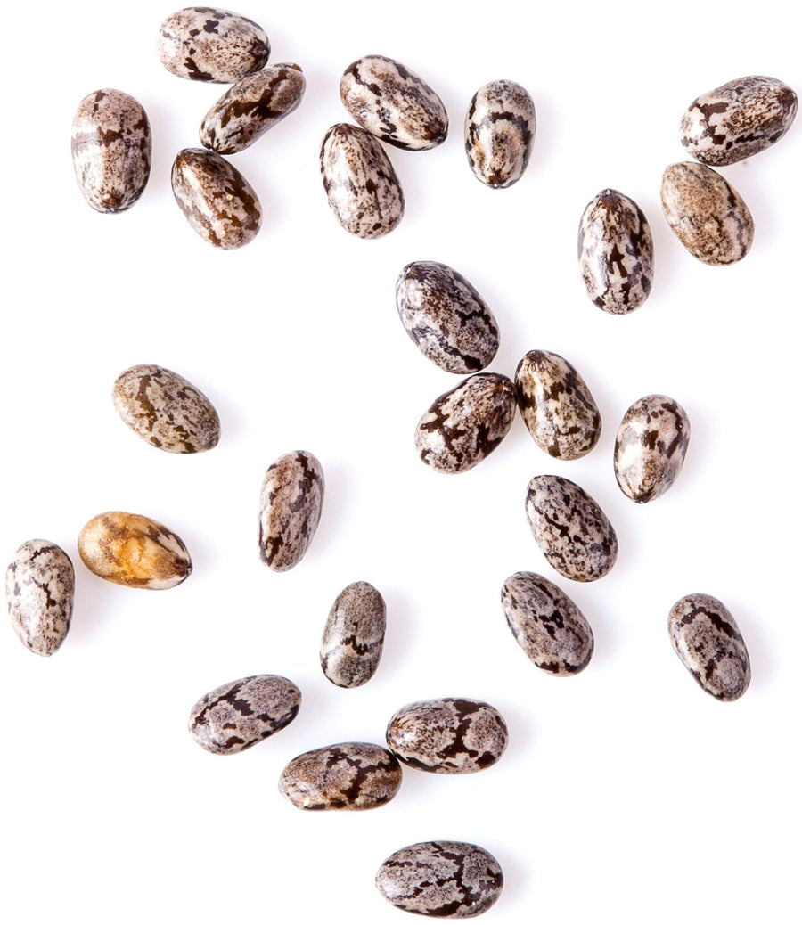 Chia Seeds in a pile on white background
