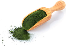 Photo of wood scoop full of yummy Chlorella Powder (Cracked Cell Wall) - Organic Z Natural Foods 5 lbs 