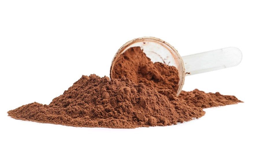Image of Chocolate Whey Protein Concentrate powder with a plastic scoop