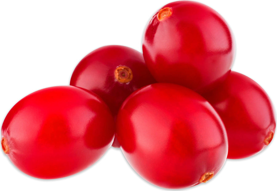 Close up image of 5 fresh cranberries on white background