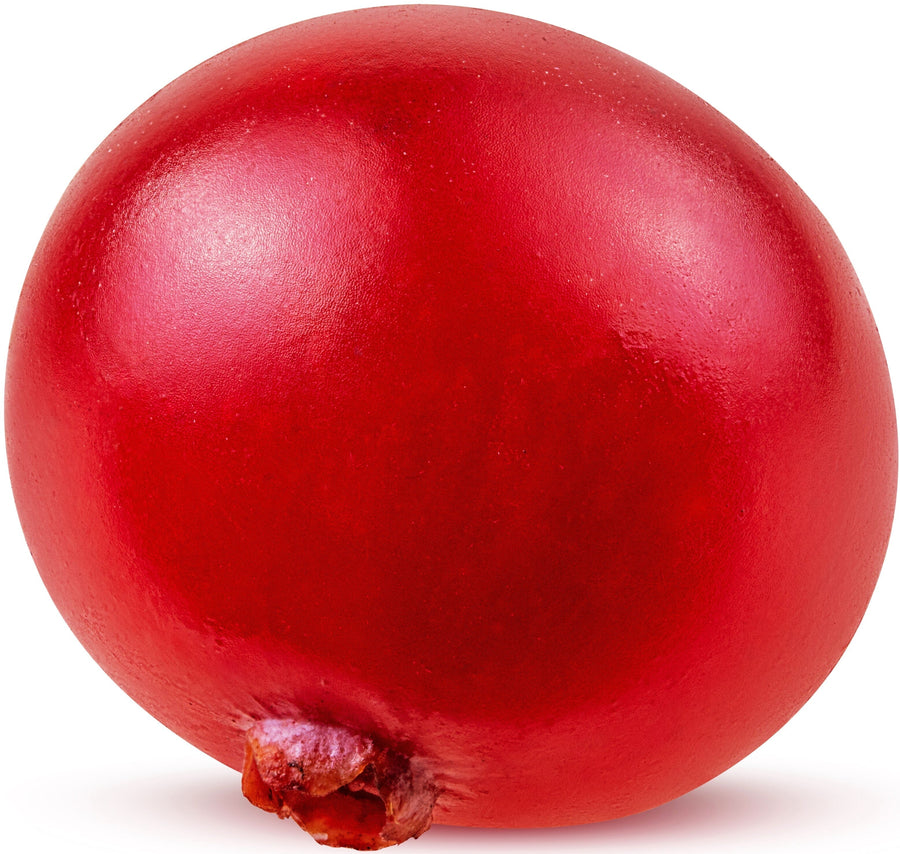 Image of a fresh cranberry