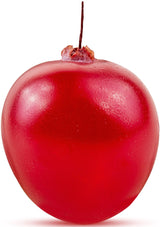 Close up of single Cranberry with stem on white background