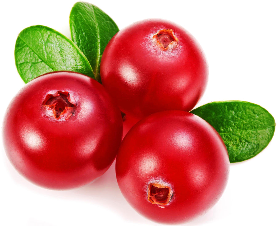 Image of three Cranberries on white background.