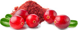 Five Cranberries with organic freeze-dried cranberry powder in the background.