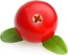 Closeup image of Cranberry on white background.