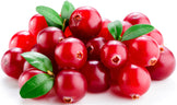 Closeup image of several Cranberries, some with stems and leaves, on white background.