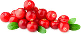 Closeup image of several Cranberries on white background.