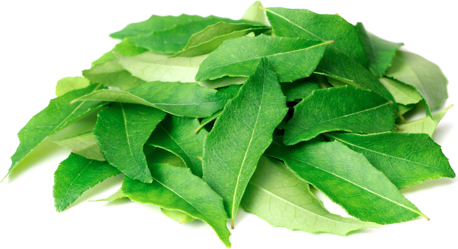 Image of a pile of green curry leaves
