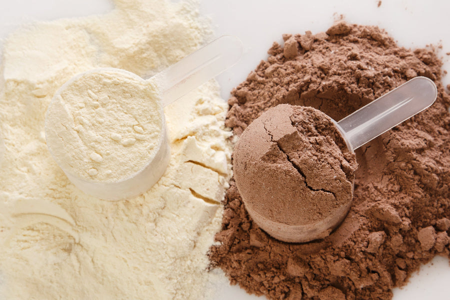 Image of white whey protein isolate next to dark brown cacao powder and 2 plastic scoops