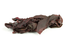Dulse seaweed clumped together on white background