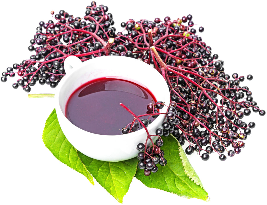 Image of a bunch of Elderberries on their stem and a white teacup with elderberry juice over green leaves
