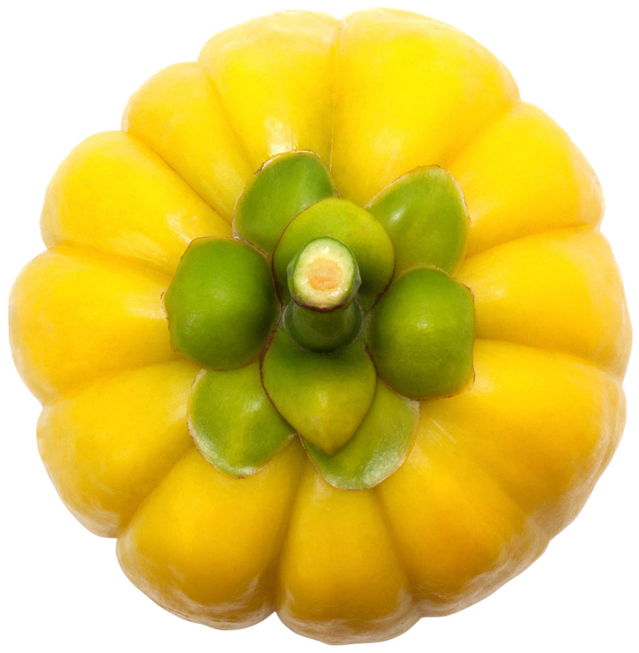 Image of a yellow Garcinia Cambogia fruit