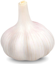 Closeup image of whole Garlic on white background