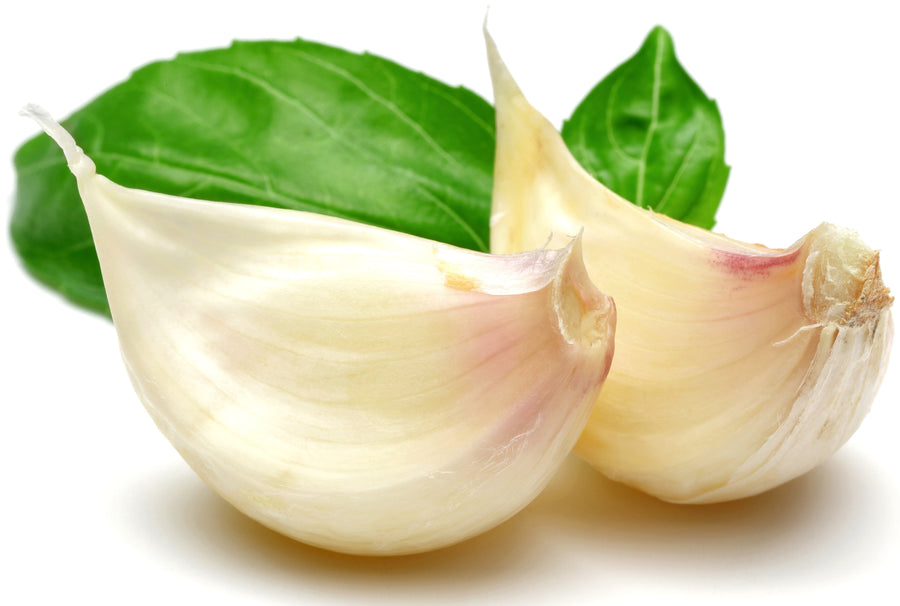 Image of two Garlic cloves on white background