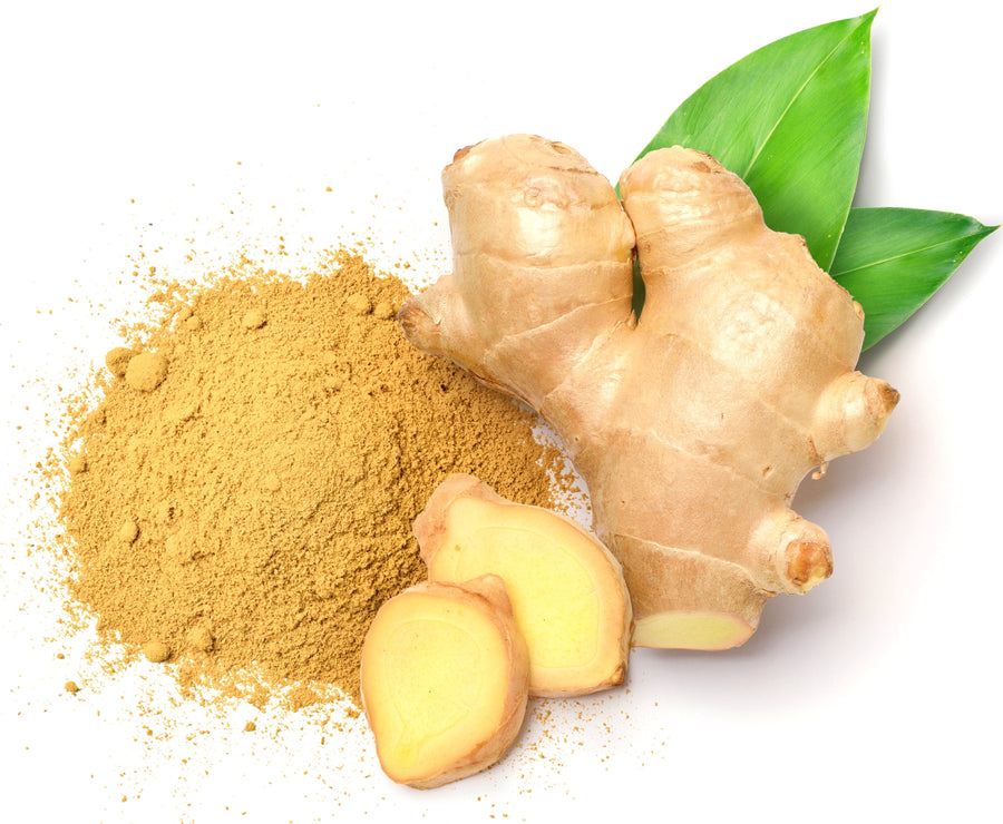 Overhead image of Ginger Root Powder with sliced and whole ginger root next to it, with two green leaves in background.