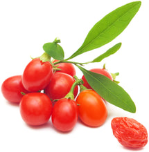 Photo of several bright red fresh raw goji berries with short green and a few leaves attached 