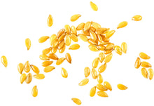 Close photo of raw whole Golden Flax Seeds - Organic Nuts & Seeds Z Natural Foods 