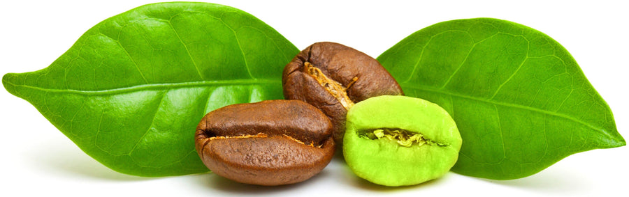 Photo of 2 brown roasted and one green unroasted coffee beans along with 2 green leaves in background 
