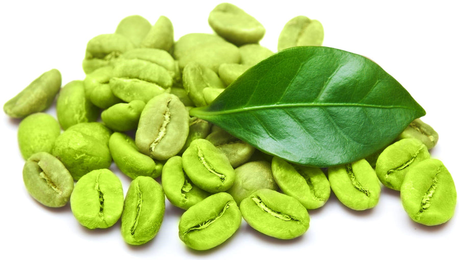 Photo of raw Green Coffee Beans and leaf