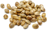 Close up image of Hemp Seeds on white background.