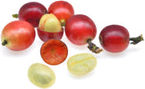 Picture of several ripe coffee cherries. Some whole red cherries and some cut cherries - Z Natural Foods