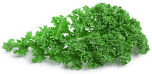 Image of Kale, leaves and stem on white background.