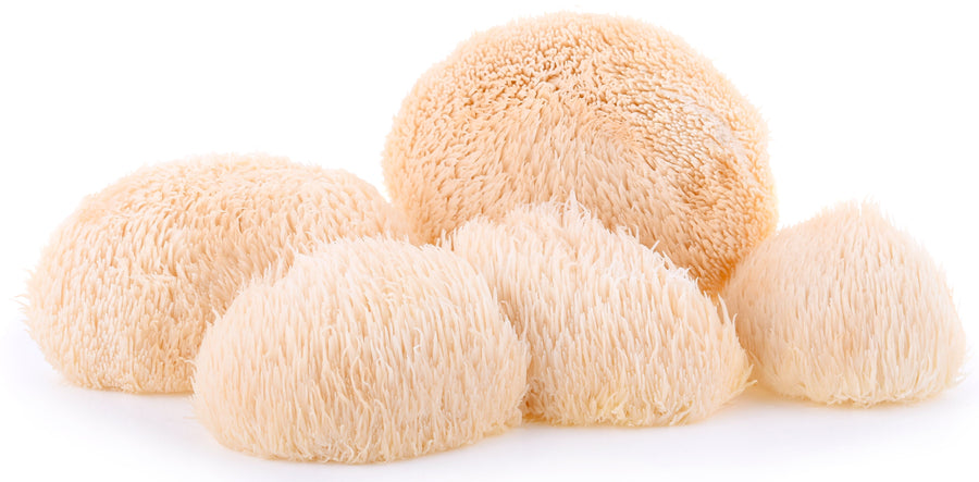 Image of 5 whole lions mane mushrooms
