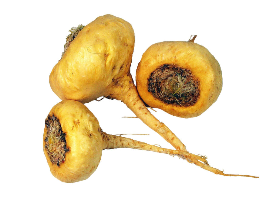 Close photo of fresh yellow Maca Roots