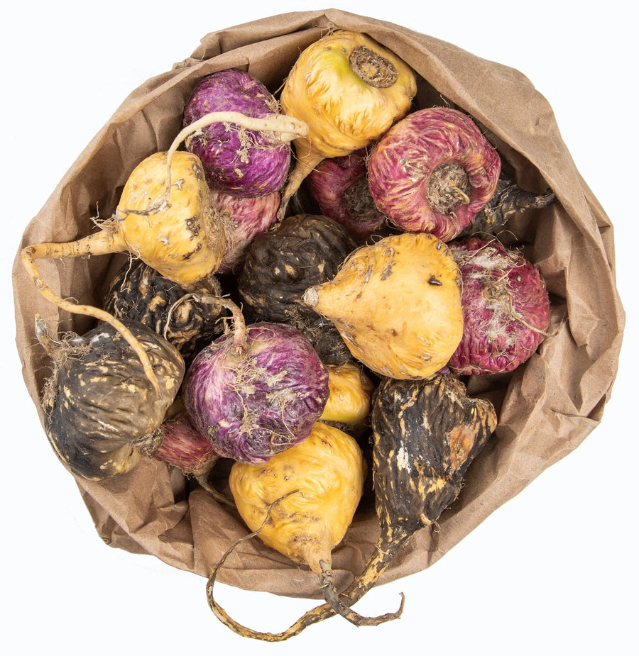 Overhead image of raw whole black, red, yellow Maca Root in brown paper bag.