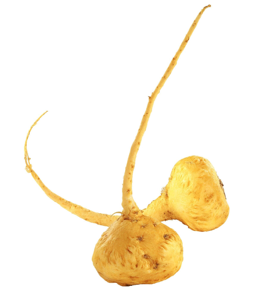 Image of yellow Maca Root on white background