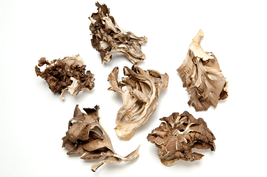 Image of dried Maitake Mushroom pieces