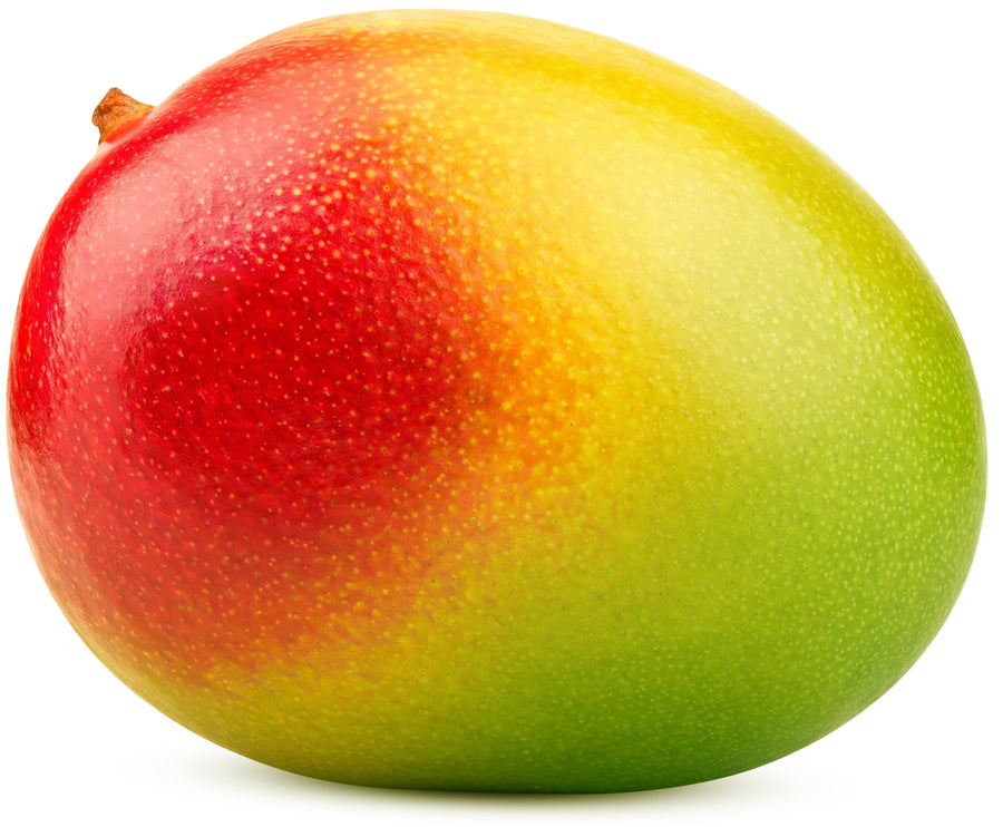 Whole slightly ripened Mango fruit on white background