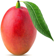 Whole Mango fruit with stem and leaf standing on end with white background.