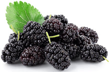 Image of multiple dark purple Mulberry Fruits and a green leaf