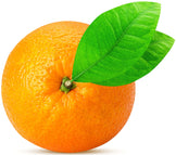 Image of whole Orange with stem and two green leaves on white background.
