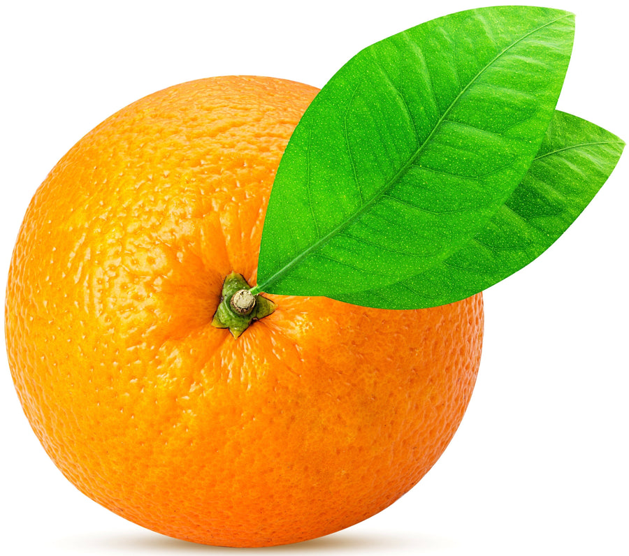 Image of whole Orange with stem and two green leaves on white background.
