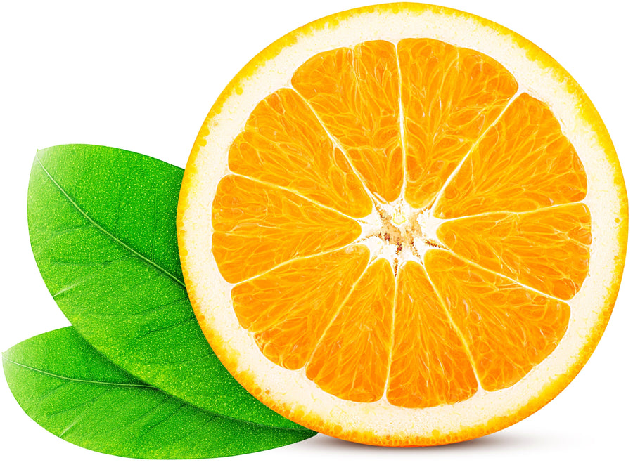 Orange slice standing on edge with two green leaves in the background.