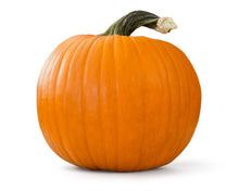 Image of whole ripe Pumpkin with stem on white background.