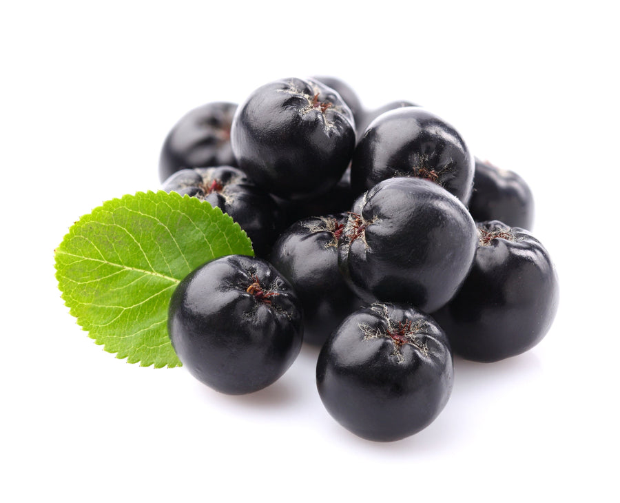 Image of black Purple Aronia berries and a green leaf